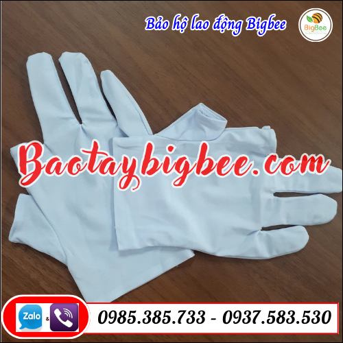 Bao tay thun trắng cắt đầu ngón cái và ngón trỏ.