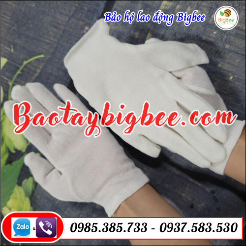 Bao tay thun trắng PE . Bao tay thun trắng PE .