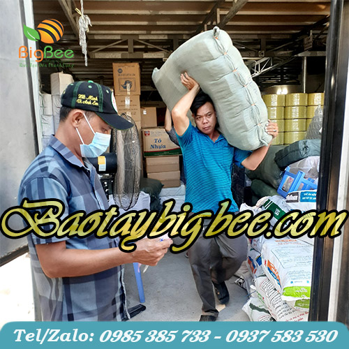 Soạn hàng đi giao buổi sáng tại công ty Soạn hàng đi giao buổi sáng tại công ty