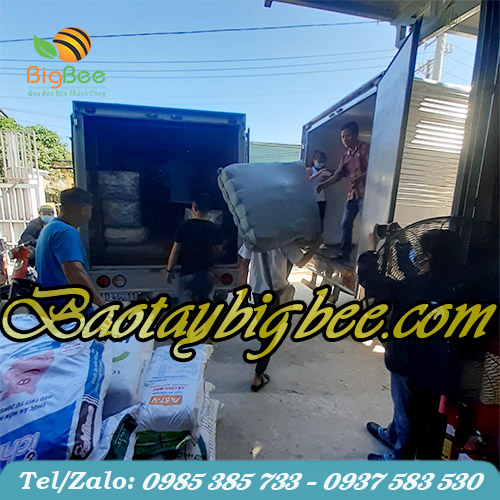 Soạn hàng đi giao buổi sáng tại công ty Soạn hàng đi giao buổi sáng tại công ty