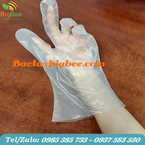 Bao tay nilon - vật dụng không thể thiếu trong chế biến thực phẩm. Bao tay nilon - vật dụng không thể thiếu trong chế biến thực phẩm.