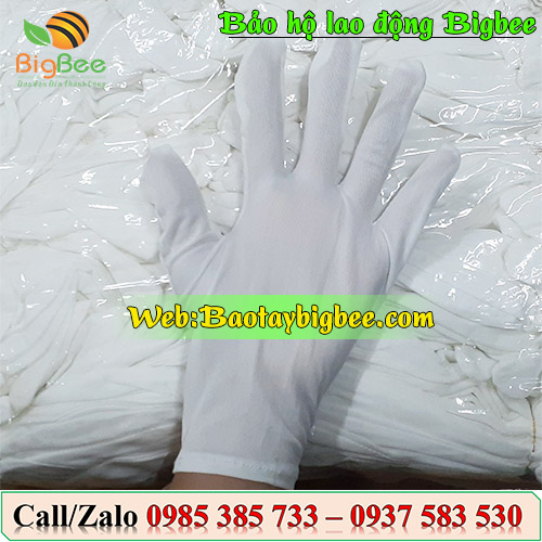 >Bao tay thun trắng L+2<