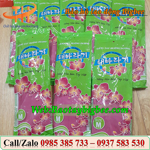 Địa chỉ phân phối găng tay cao su chất lượng Địa chỉ phân phối găng tay cao su chất lượng