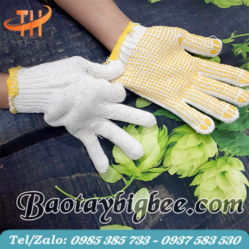 Đặc tính công dụng của bao tay hạt nhựa Đặc tính công dụng của bao tay hạt nhựa