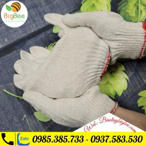 >>Găng tay có thể co dãn rất tốt, độ thấm hút mồ hôi cao. >>Găng tay có thể co dãn rất tốt, độ thấm hút mồ hôi cao.