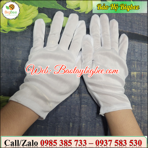 >>Găng tay thun mỏng trắng. >>Găng tay thun mỏng trắng.