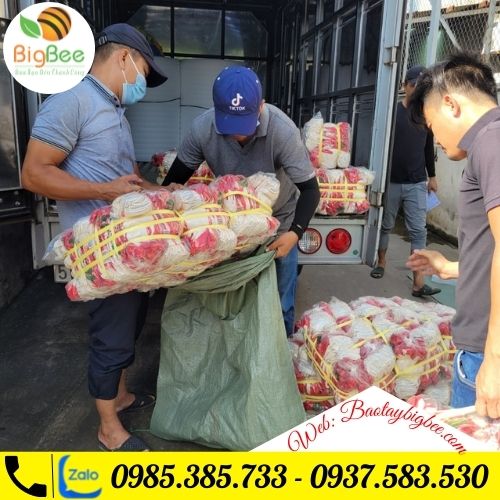 >Thu Hồng giao 400 đôi bao tay nhúng nhựa cho khách< >Thu Hồng giao 400 đôi bao tay nhúng nhựa cho khách<