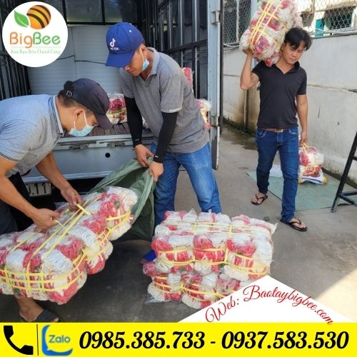 >Thu Hồng giao 400 đôi bao tay nhúng nhựa cho khách< >Thu Hồng giao 400 đôi bao tay nhúng nhựa cho khách<