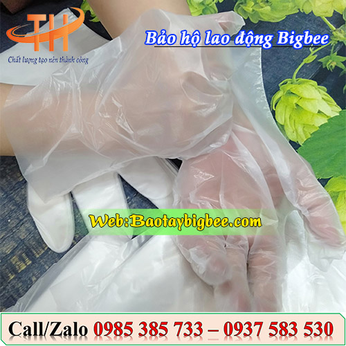 Bao tay xốp - nilon dùng trong thực phẩm Bao tay xốp - nilon dùng trong thực phẩm