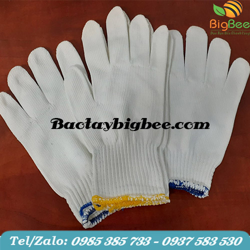 Găng tay poly trắng nhiều kích cỡ. Găng tay poly trắng nhiều kích cỡ.