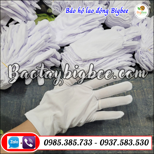 Địa chỉ bán găng tay thun trắng vải mỏng giá tại kho. Địa chỉ bán găng tay thun trắng vải mỏng giá tại kho.