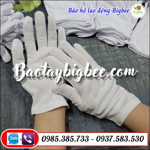 Bao tay bảo hộ T9+1. Bao tay bảo hộ T9+1.