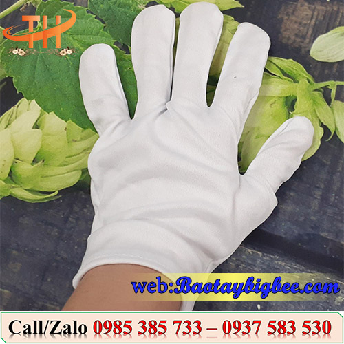 Găng tay thun trắng Găng tay thun trắng