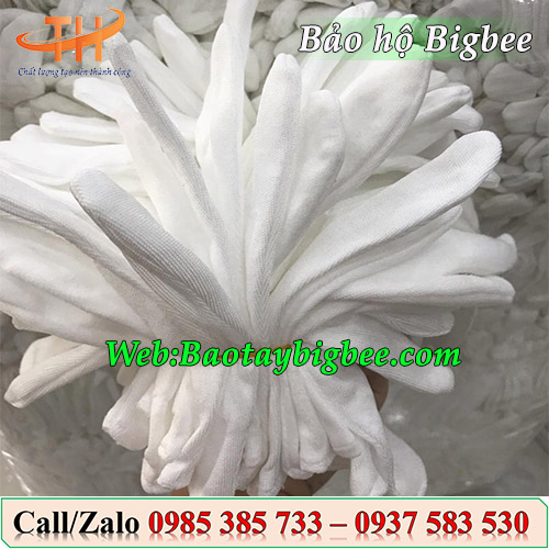 Địa chỉ cung cấp găng tay thun cotton giá sỉ Địa chỉ cung cấp găng tay thun cotton giá sỉ