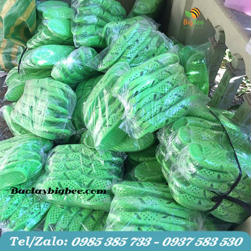 Dép tổ ong màu Dép tổ ong màu