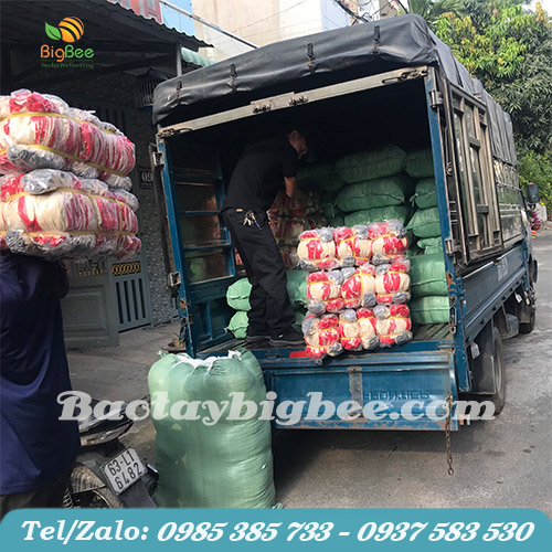 Bigbee giao hàng nhanh chóng trong ngày Bigbee giao hàng nhanh chóng trong ngày