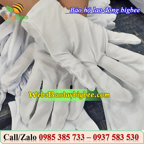 Găng tay L+ 2 Găng tay L+ 2