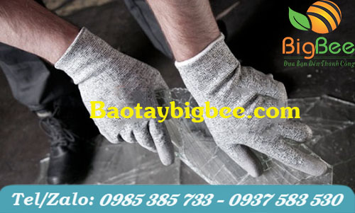 Găng tay bốc gạch Găng tay bốc gạch