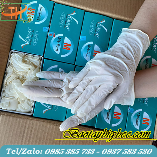 Găng tay cao su y tế có bột Găng tay cao su y tế có bột