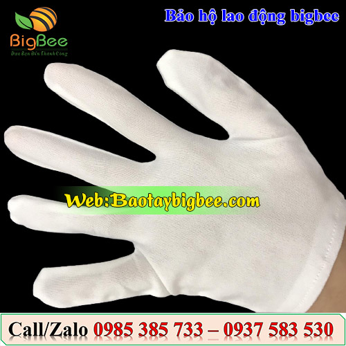 Ưu điểm bổi bật của găng tay vải thun trắng Ưu điểm bổi bật của găng tay vải thun trắng