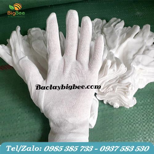 Bao tay cotton trắng chất lượng cao giá rẻ tại TP.HCM Bao tay cotton trắng chất lượng cao giá rẻ tại TP.HCM