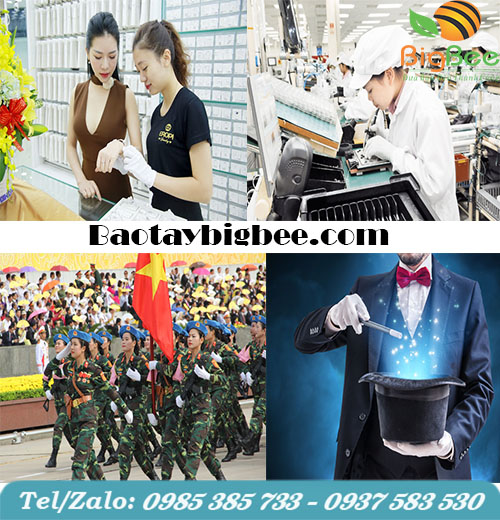 Một số hình ảnh ứng dụng của găng  tay cotton trắng chuyên dụng Một số hình ảnh ứng dụng của găng  tay cotton trắng chuyên dụng