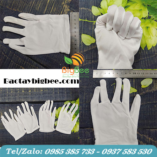 Găng tay cotton trắng chuyên dụng Găng tay cotton trắng chuyên dụng