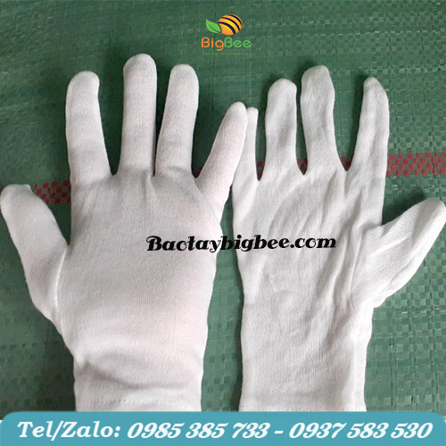 Bao tay cotton trắng sử dụng trong nghi thức quân đội Bao tay cotton trắng sử dụng trong nghi thức quân đội