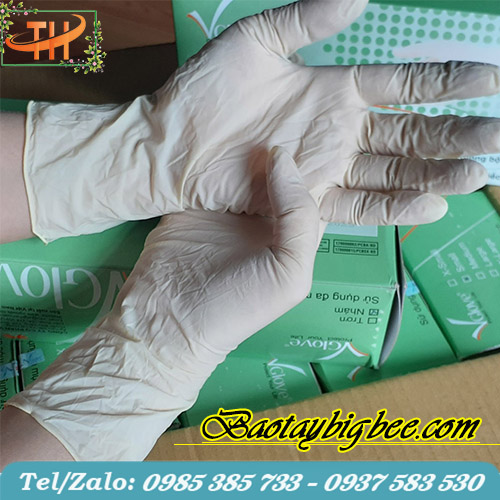 Găng tay cao su y tế không bột Găng tay cao su y tế không bột