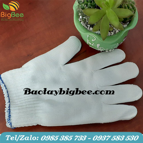 Găng tay poly trắng mềm mại, bóng mịn. Găng tay poly trắng mềm mại, bóng mịn.