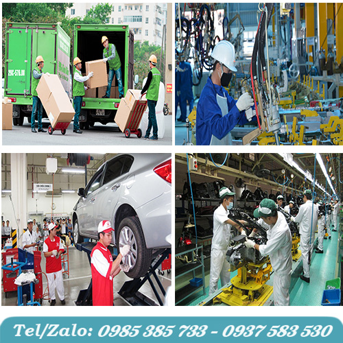 Một số hình ảnh ứng dụng của găng tay len sợi poly. Một số hình ảnh ứng dụng của găng tay len sợi poly.