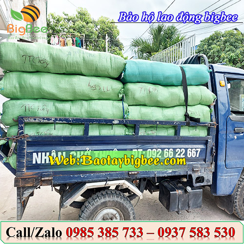 Nhân viên đi đơn găng tay thời trang cotton đi Nghệ An Nhân viên đi đơn găng tay thời trang cotton đi Nghệ An