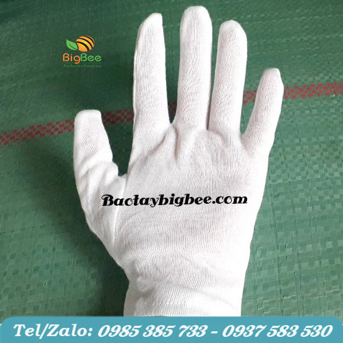 Bao tay cotton trắng Bao tay cotton trắng