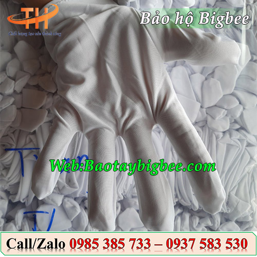 Găng tay cotton trắng giá sỉ cho khách hàng mua nhiều Găng tay cotton trắng giá sỉ cho khách hàng mua nhiều