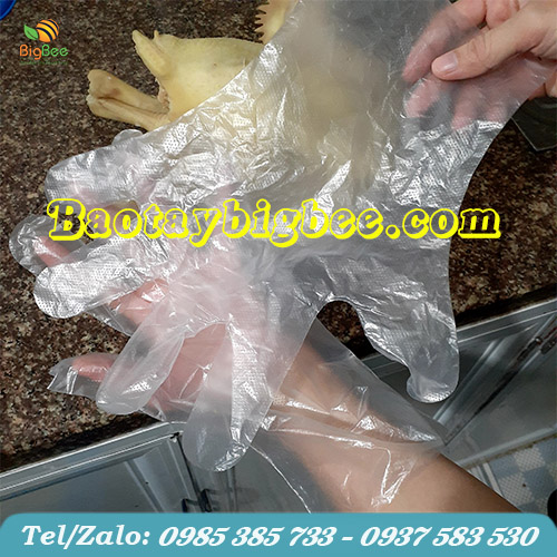 Găng tay nilon nữ Găng tay nilon nữ