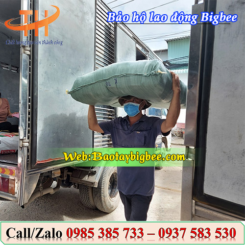 Một số hình ảnh nhân viên soạn đơn hàng giao cho khách sáng nay Một số hình ảnh nhân viên soạn đơn hàng giao cho khách sáng nay