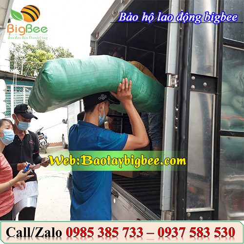 Nhân viên soại hàng bao tay tại công ty Thu Hồng sáng nay Nhân viên soại hàng bao tay tại công ty Thu Hồng sáng nay