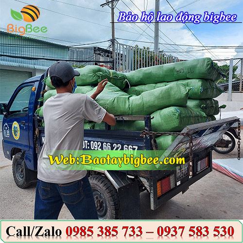 Nhân viên đi đơn găng tay thời trang cotton đi Nghệ An Nhân viên đi đơn găng tay thời trang cotton đi Nghệ An