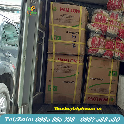 Vận chuyển đơn hàng găng tay cao su cho khách Vận chuyển đơn hàng găng tay cao su cho khách