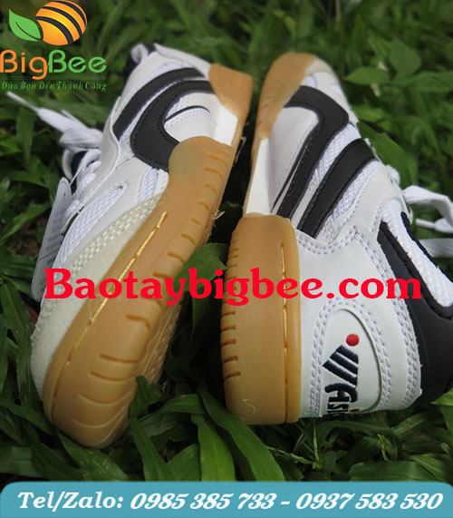 Giày thể thao ASIA Giày thể thao ASIA
