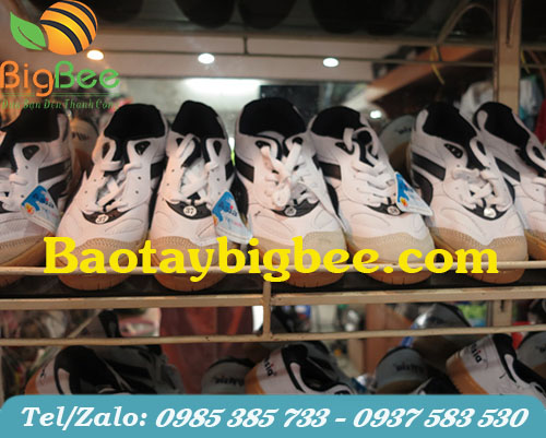 Giày thể thao ASIA Giày thể thao ASIA