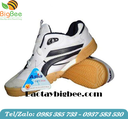 Giày ASIA buộc dây đa năng. Giày ASIA buộc dây đa năng.