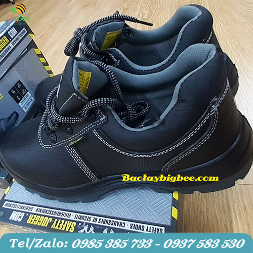 Thiết kế giày jogger lịch lãm Thiết kế giày jogger lịch lãm