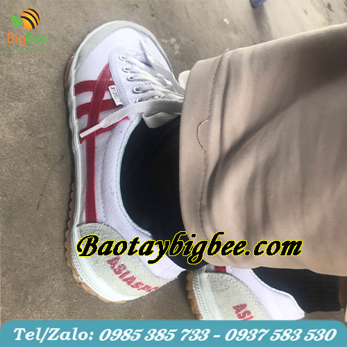 Giày Asia giá sỉ tại Tp.HCM Giày Asia giá sỉ tại Tp.HCM