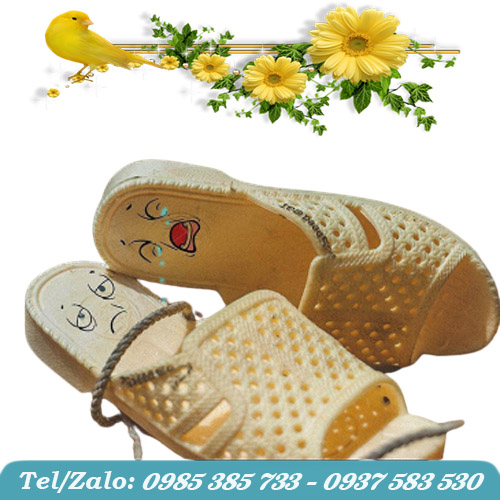 Hình ảnh hài hước về đôi dép tổ ong Hình ảnh hài hước về đôi dép tổ ong