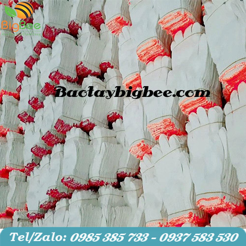 Găng tay poly trắng chất lượng cao số lượng nhiều. Găng tay poly trắng chất lượng cao số lượng nhiều.