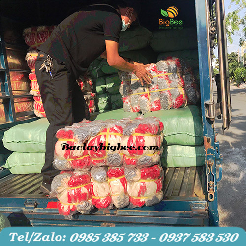 Nhân viên lên hàng đi giao nhanh chóng tại Thu Hồng Nhân viên lên hàng đi giao nhanh chóng tại Thu Hồng