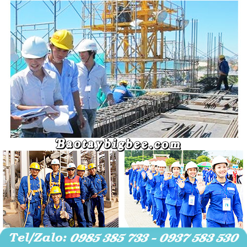 Thu Hồng cung cấp mũ nón bảo hộ giá sỉ Thu Hồng cung cấp mũ nón bảo hộ giá sỉ