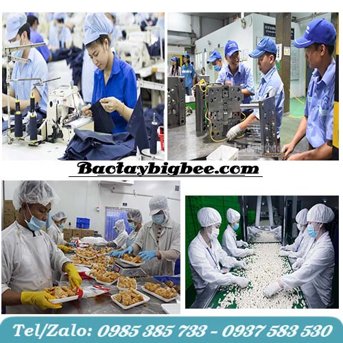 Mũ vải công nhân trong công nghiệp sản xuất Mũ vải công nhân trong công nghiệp sản xuất