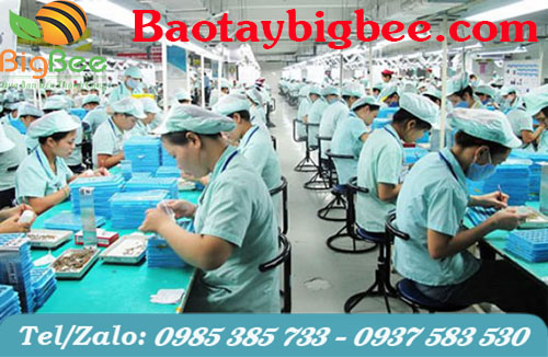 Nón kết xếp ly cho công nhân ngành điện tử Nón kết xếp ly cho công nhân ngành điện tử